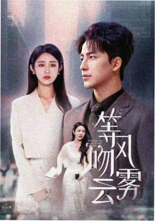 十七楼的灯都市剧免费观看